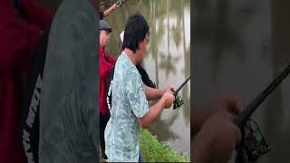 Download lagu Test Liatin Bang Komeng Mancing Ikan #shorts mp3