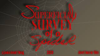 Superficial Survey of a Spider (short horror film)