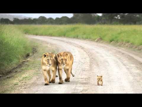 Das sind die spektakulärsten Reise-Fotos der Welt