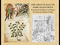 The Great Plague Of Dark Ages Europe Notes From The History Of Disease