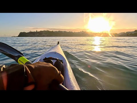 Trying the Think Power Wing paddle