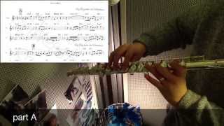 somewhere over the rainbow(chet baker) - jazz flute cover with score