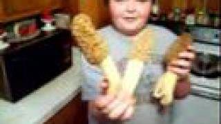 Morel &quot;dry land fish  &quot;found in Kentucky&quot;giant&quot;