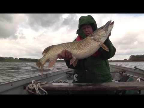 Learn lure fishing secrets as John Davey targets - and catches - giant pike at Blithfield Reservoir