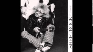 R. Stevie Moore ~ Apropos Joe (1978)