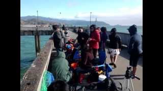preview picture of video 'Crabbing at Pacifica, CA With Family & Friends (Sunday, July 7, 2013)'