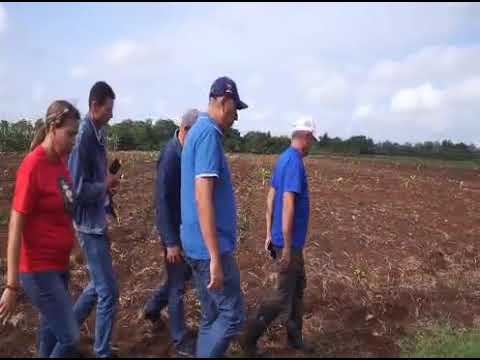Recorre Primer Secretario del PCC en #LasTunas áreas de interés productivo de la provincia