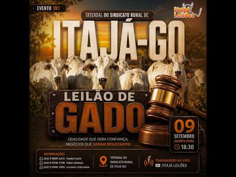 LEILÃO DE GADO DA ITAJÁ LEILÕES