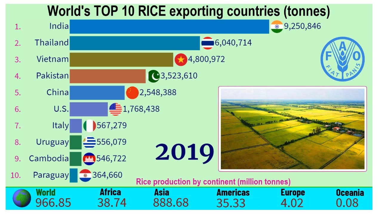 Who are the largest producers of rice in the world? Tipseri