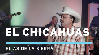 El Chicahuas Lyrics English Translation