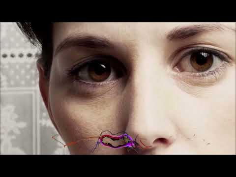 The Bianca Story - Dancing People Are Never Wrong  (Jan Blomqvist Remix)