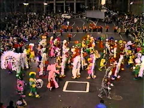 1987 South Jersey String Band - Dr. Suses' On The Loose