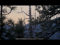 The morning of July 16th in Big Bear Valley 2026 @FOBBVCAM