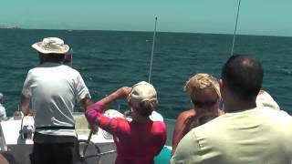 preview picture of video 'Mit Wassertaxi nach Puerto del Carmen  Juni 2012'