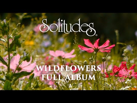 1 hour of Relaxing Music: Dan Gibson’s Solitudes - Wildflowers (Full Album)