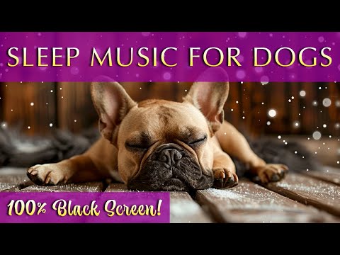 Sweet Dreams for You and Your Pup 🐕 Black Screen Sleep Music for Dogs and Humans
