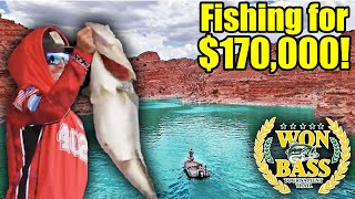Desert Fishing to win $170,000...We're in the Top 5!!!