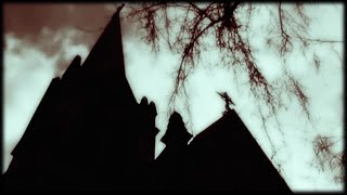 VELVET ACID CHRIST ~ The Last Goodbye [Official Fan Video]