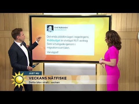 Veckans nätfiske med Anders Pihlblad - Nyhetsmorgon (TV4)