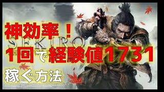 【SEKIRO】神効率！オール忍殺でオススメレべリング紹介！