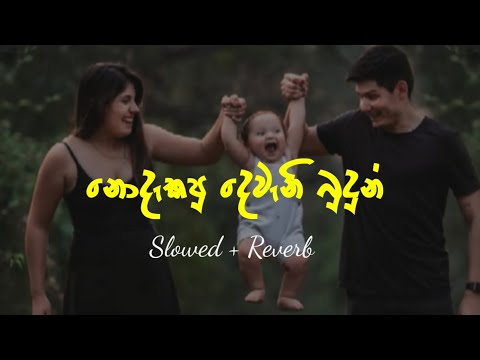 නොදැකපු දෙවැනි බුදුන් | Nodekapu Dewini Budun ( Slowed + Reverb ) Full Song