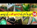 Ziyarat E Anbiya Graves Of 36 Prophets Tombs Of 36 Prophets Shrines Of All Prophets ZubairSafi