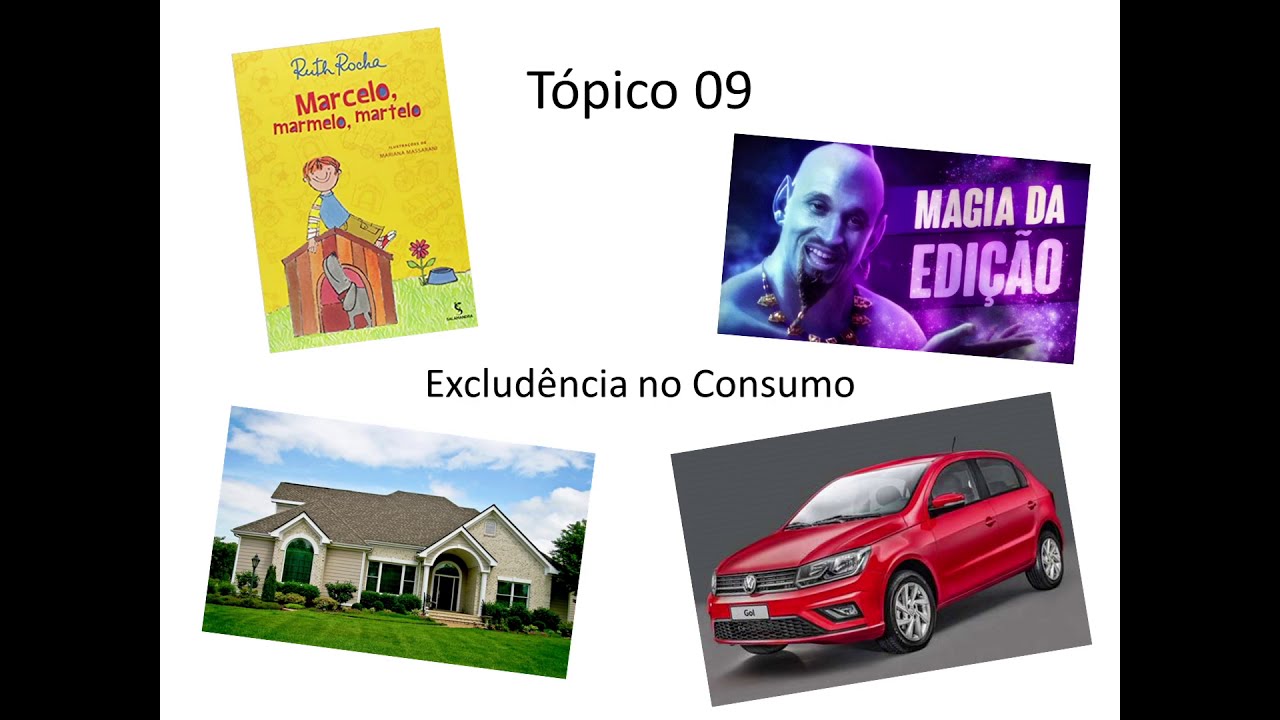 Introdução a Economia 057 Bens Públicos e Privados