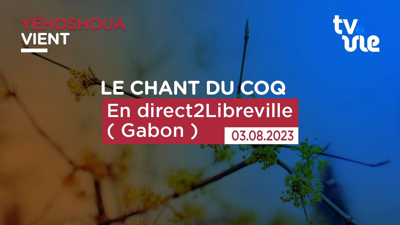 Thumbnail of video: En direct2Libreville ( Gabon )