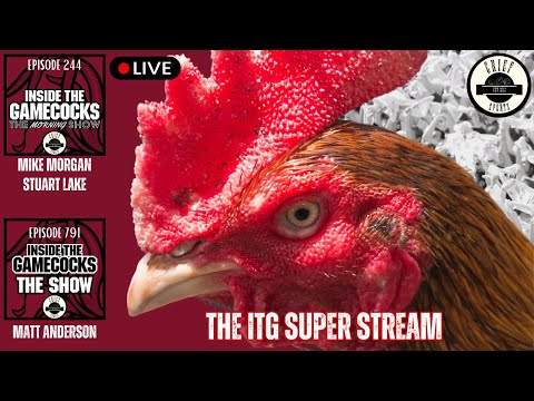 Gamecocks Live: Wrapping the Week | Women's Teams Winners | Salute the Troops