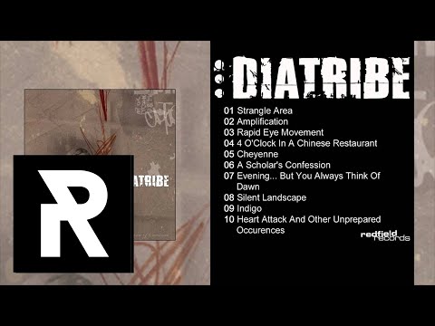 08 DIATRIBE - Silent Landscape