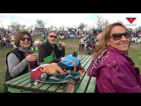 XX Fiesta del almendro en flor - Alko TV