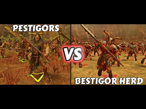 Who Will Win? Pestigors or Bestigor Herd in Warhammer Total War 3!