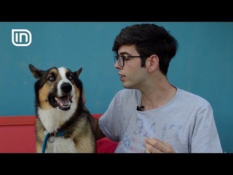 Life is Better with Friends 28062017 - Kujdesja per qente