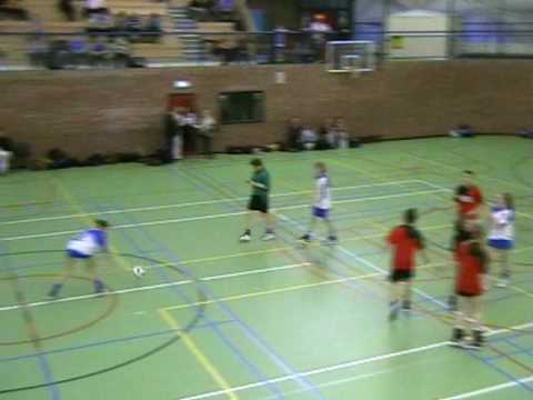 Kvs B1 - Meervogels B1