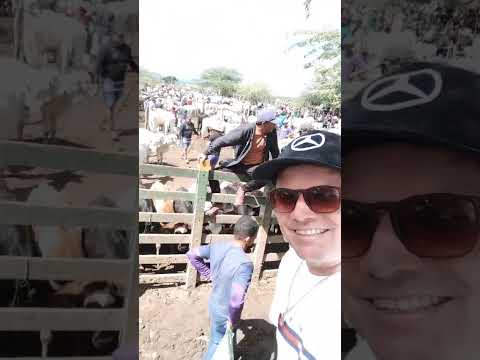 TABIRA PERNAMBUCO MInha cidade