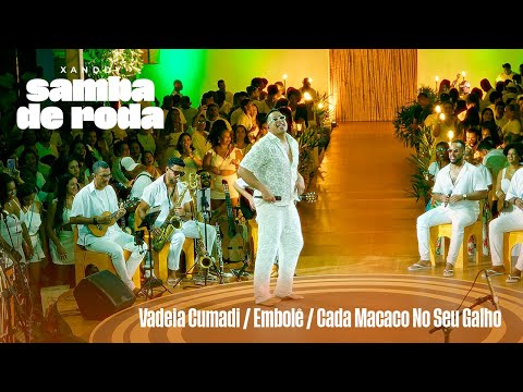 Macaco Gordo and XANDDY HARMONIA