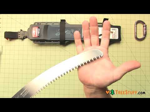 YouTube Thumbnail DAP4Cl9F9_0