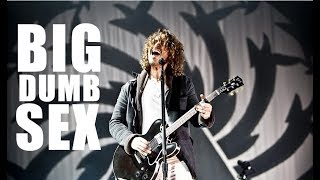 We&#39;re singing Big Dumb Sex @ Soundgarden concert in Milan, Italy 04-06-2012