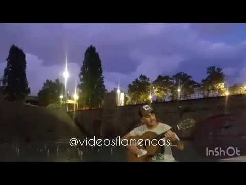 Miguel de la Fina cantando una bonita letra “NO ME LLORES”👏👏