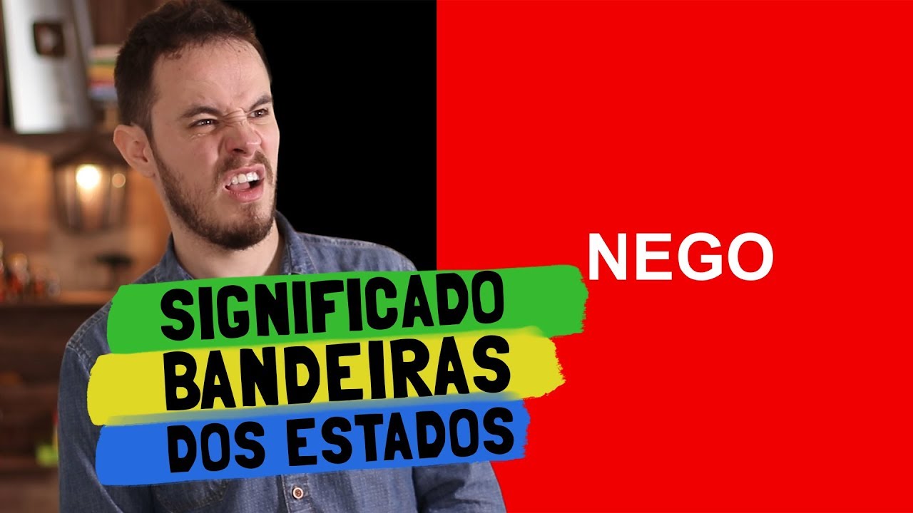 The meaning of every brazilian's states flag