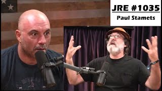 Paul Stamets describes his first Psilocybin Mushroom Trip - Joe Rogan Experience #1035