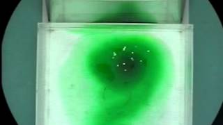 Experiment IX: Cylinder Collapse