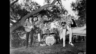 The Seeds "Faded Picture"