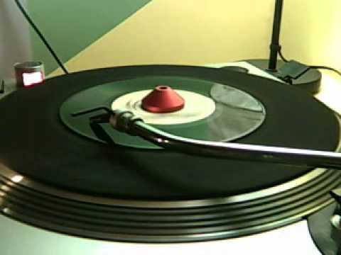 Chanter - Terror Terror