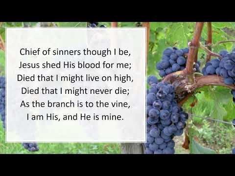 238 Chief of Sinners