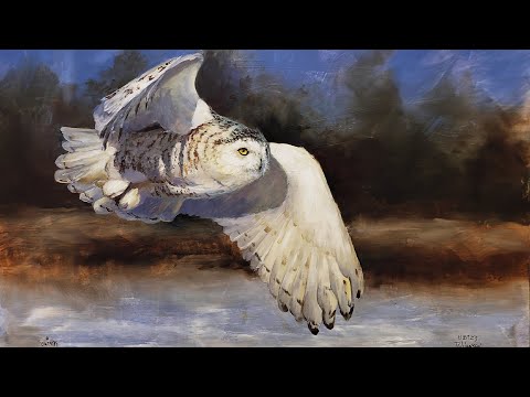 Part3 Painting the Snowy Owl  Animal Portrait Techniques