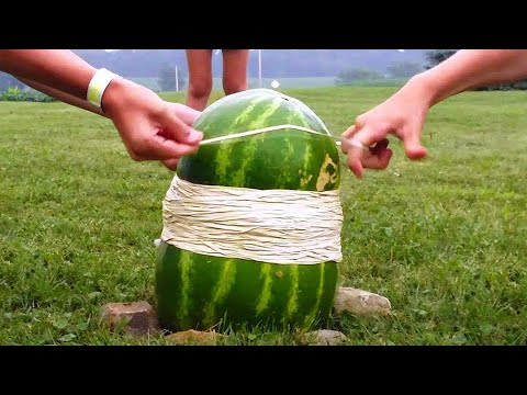 WATERMELON VS 2,000 RUBBER BANDS