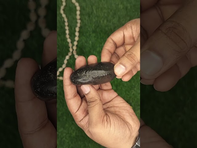 Kurma Vishnu Shaligram Shila video