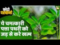 Photo Quiz एक बार करें इस पत्ते का इस्तेमाल प�