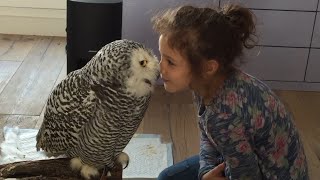 Little Girl and Owl Are BFF